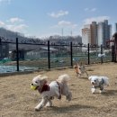 폴앤도기 동남캠퍼스 이미지