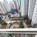 부동산중개법인이상 주식회사 이미지