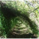 유경농장 이미지