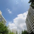 간선-41 | 속도 혁명" 가장 늦게 시작했지만 가장 빠르게 41층 랜드마크를 향해 달리는 현장의 열기가 뜨겁습니다.