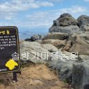 동산박물관 이미지