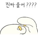알리바이(24시편의점) 이미지