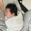 들레미용실
