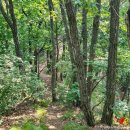 노일리 경로당 이미지