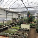 평안꽃식물원 이미지