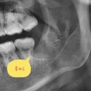 김병수치과의원 이미지