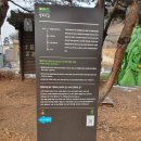 DMZ 평화의 길 5코스 이미지