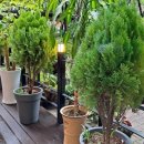 아람이네 이미지