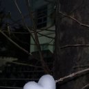 쮸 JJU