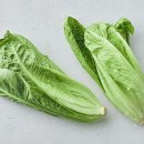 쿵푸마켓