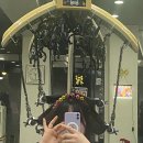 디와이(DY)헤어 | 안산 본오동 미용실 '디와이헤어' 에서 인생펌 하고 왔어요!