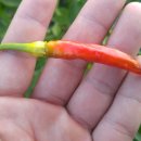 중수농장 이미지