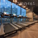 그레이짐기구필라테스
