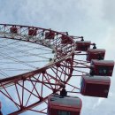 시티성형외과의원 이미지