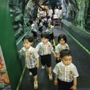 🐬현장학습-롯데타워 아쿠아리움🐬 이미지