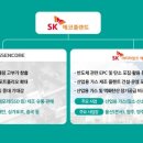 에스케이에어가스(주)
