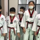 연세삼성태권도장 이미지