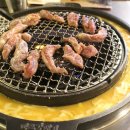 신마포갈매기 이미지