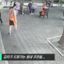 칼부림 난동 테이저건 제압.gif 이미지