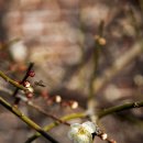 금호동주민자치센터 이미지