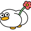 유즈베이 주식회사