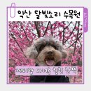 달빛풍경 | 익산 애견동반 달빛소리 수목원 한적하게 산책하기 좋은 곳 후기