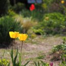 서울숲 곤충식물원 화장실 이미지