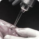 나온동물병원 이미지