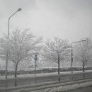 경원고등학교 앞 이미지