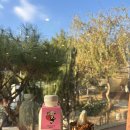 청원목장 | 청주 외곽 카페 단풍놀이 다래목장 요거트 맛집