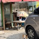 참목원정육식당