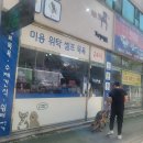 강아지트 이미지