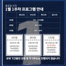 와이디플러스