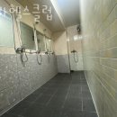 세라헬스 네이버블로그