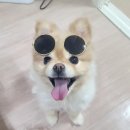 24시 잠실온 동물병원 이미지