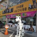 이동교상회