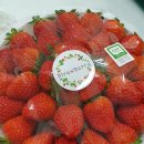 서포농협하나로마트 이미지