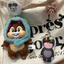 치바위 | 25.11.15~25.11.17 치바(도쿄)