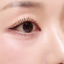 엔젤아이래쉬 | 다이소 꽁래쉬 노글루 속눈썹 04엔젤 사용 후기