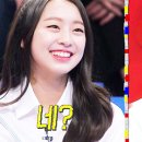 스타 디스코팡팡 이미지