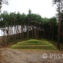 대지(大地)의 꿈 이미지