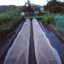 주헌농장 이미지