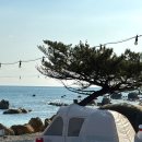 시대양품 | 캠핑로그[3] 울산주전패밀리캠핑장 E3사이트 2박3일 후기