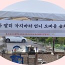 주신오토 이미지