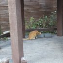 최소아과의원