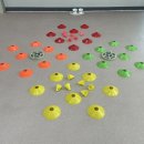 개와 집사의 시간 이미지