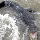 해석농장 이미지