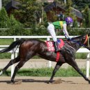 다이아로드 이미지