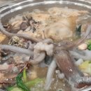 풍낙지 이미지