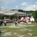 충남 연기군 조치원 복숭아축제 이미지